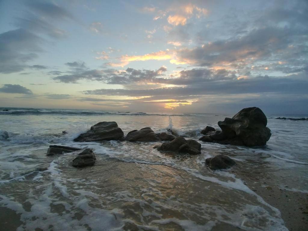 Beach Attic Zahara de los Atunes Dış mekan fotoğraf